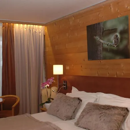 Hotel Chalet-hotel La Chemenaz 4*