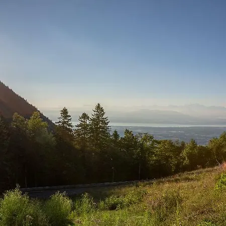 Hotel Chalet-hotel La Chemenaz 4*