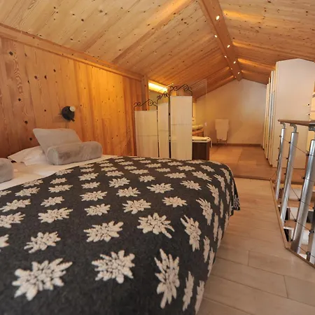 Hotel Chalet-hôtel La Chemenaz