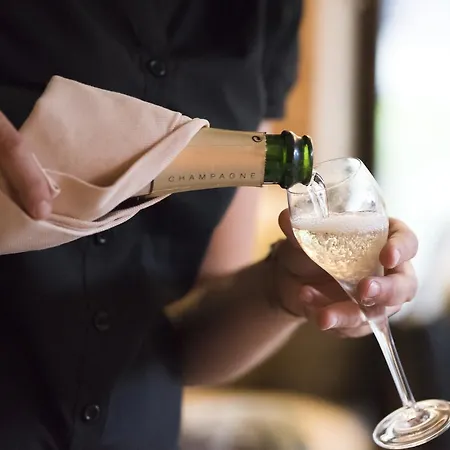 Chalet-hôtel La Chemenaz Hotel